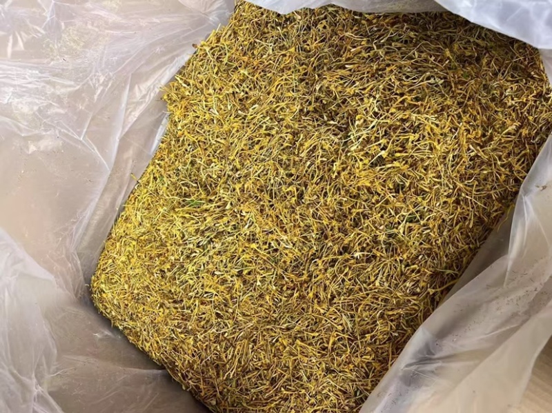 云南野生金银花批发颜色好无碎香气足大量现货今年新货批发