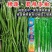 蜀辣条椒线椒种子棉蔬条椒翠绿皮青红两用二荆条春秋线椒种子