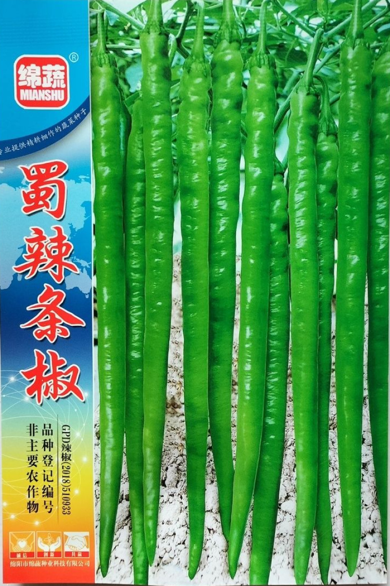 蜀辣条椒线椒种子棉蔬条椒翠绿皮青红两用二荆条春秋线椒种子