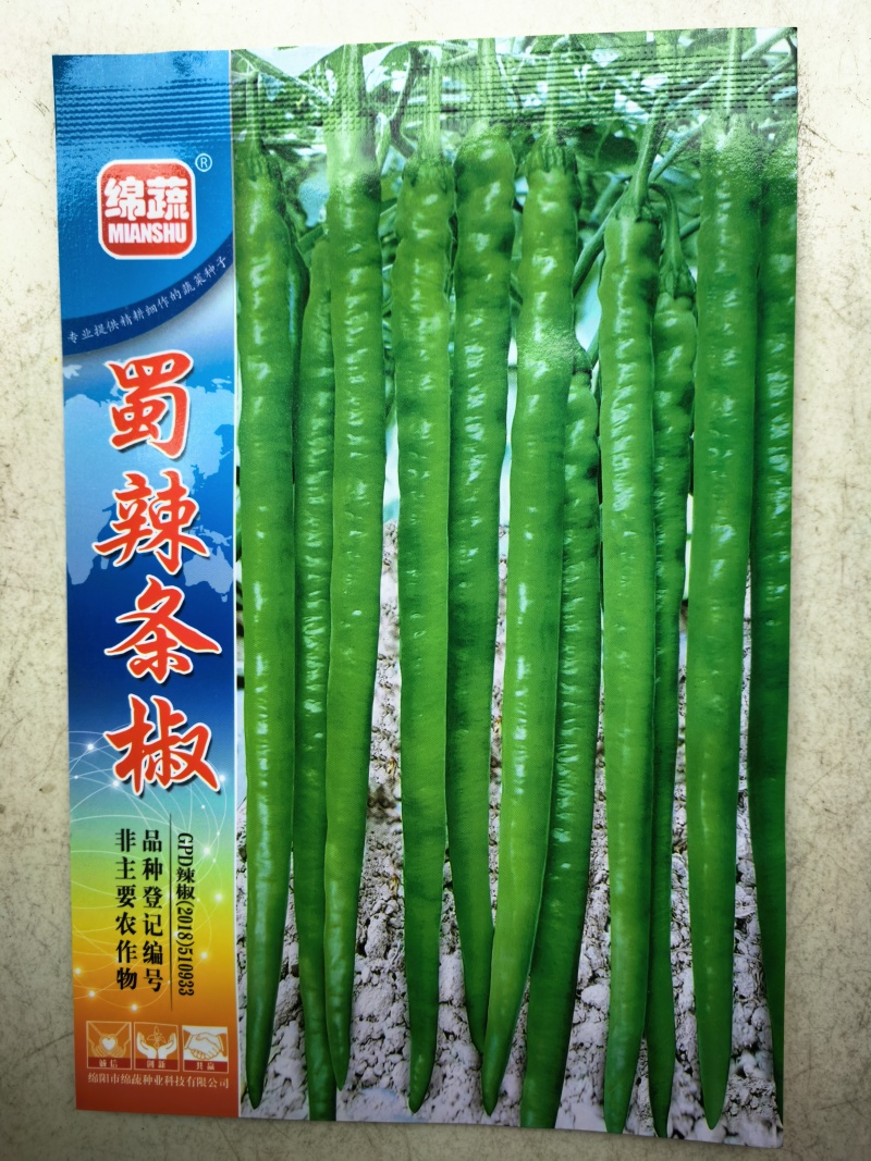 蜀辣条椒线椒种子棉蔬条椒翠绿皮青红两用二荆条春秋线椒种子