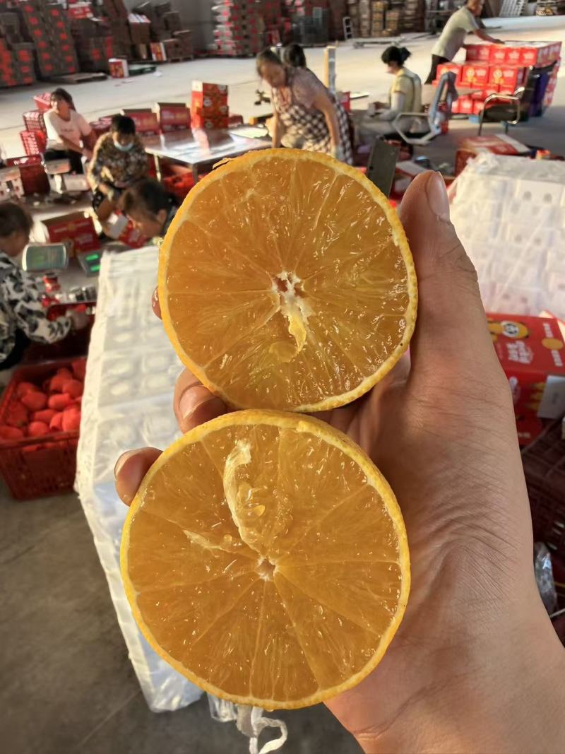 爱媛一件代发
