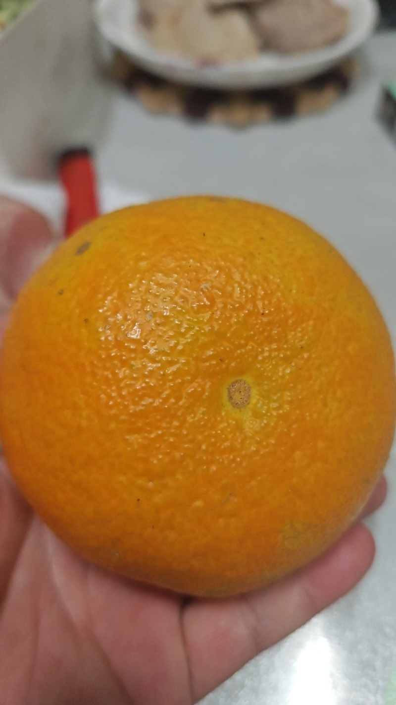 爱媛一件代发