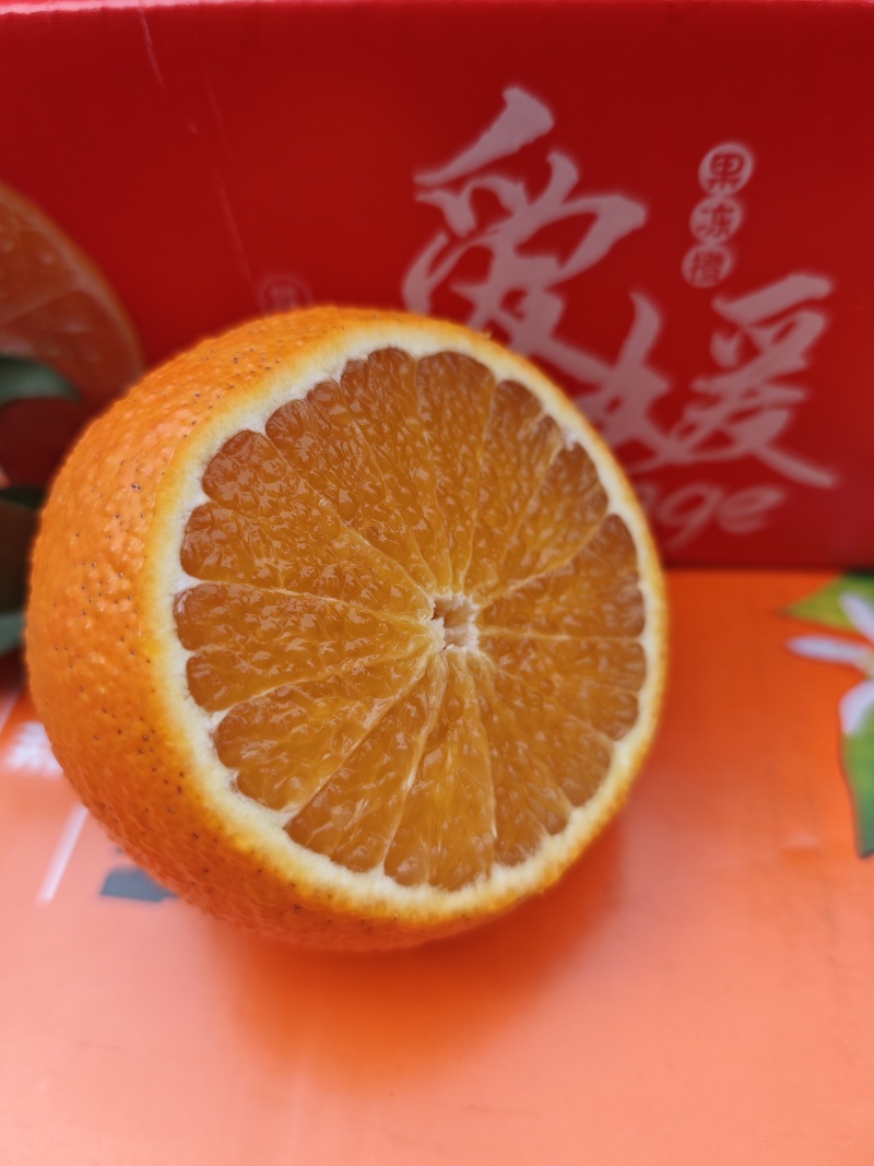 爱媛一件代发