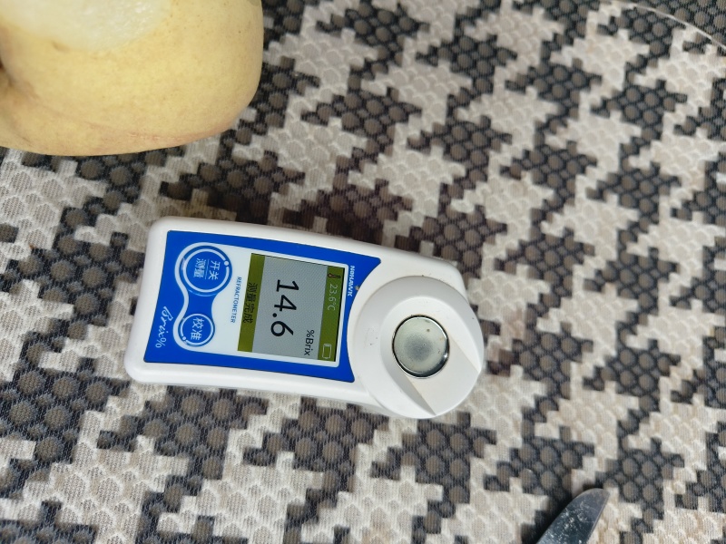 金秋红蜜