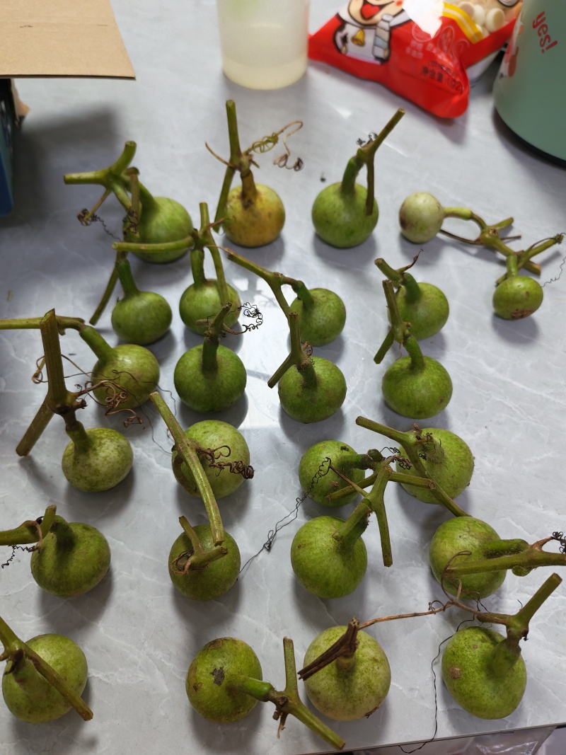 葫芦，7-10cm的青皮葫芦