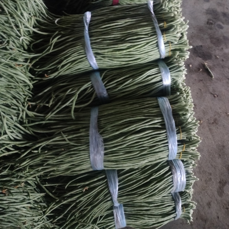 青县青条豇豆角大量上市规格齐全，品质保证，对接市场批发商