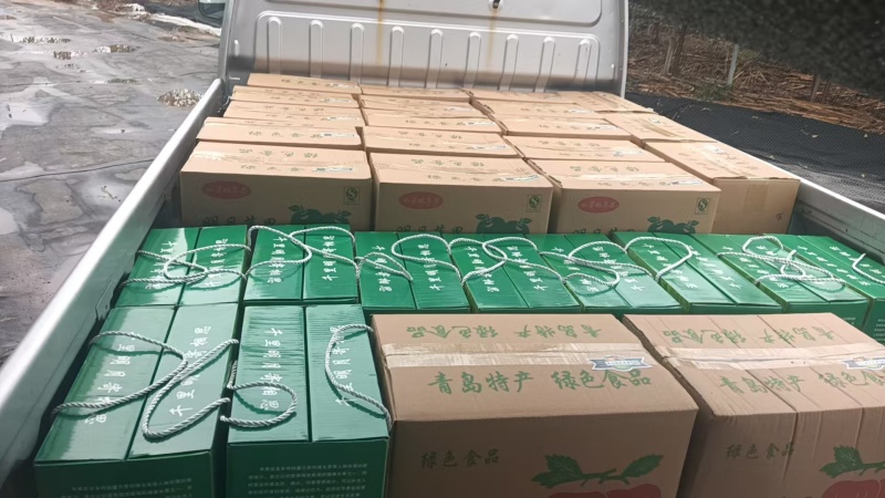 青森明月苹果
