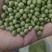 青豆高蛋白43%左右精选，豆苗菜等专用