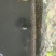 珍珠鳖苗