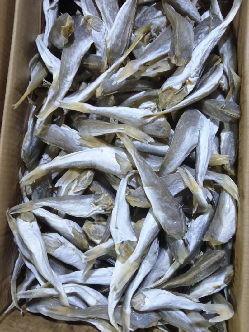 淡干红头鱼，红娘子鱼工厂直供，去头去内脏，供应市场，电商
