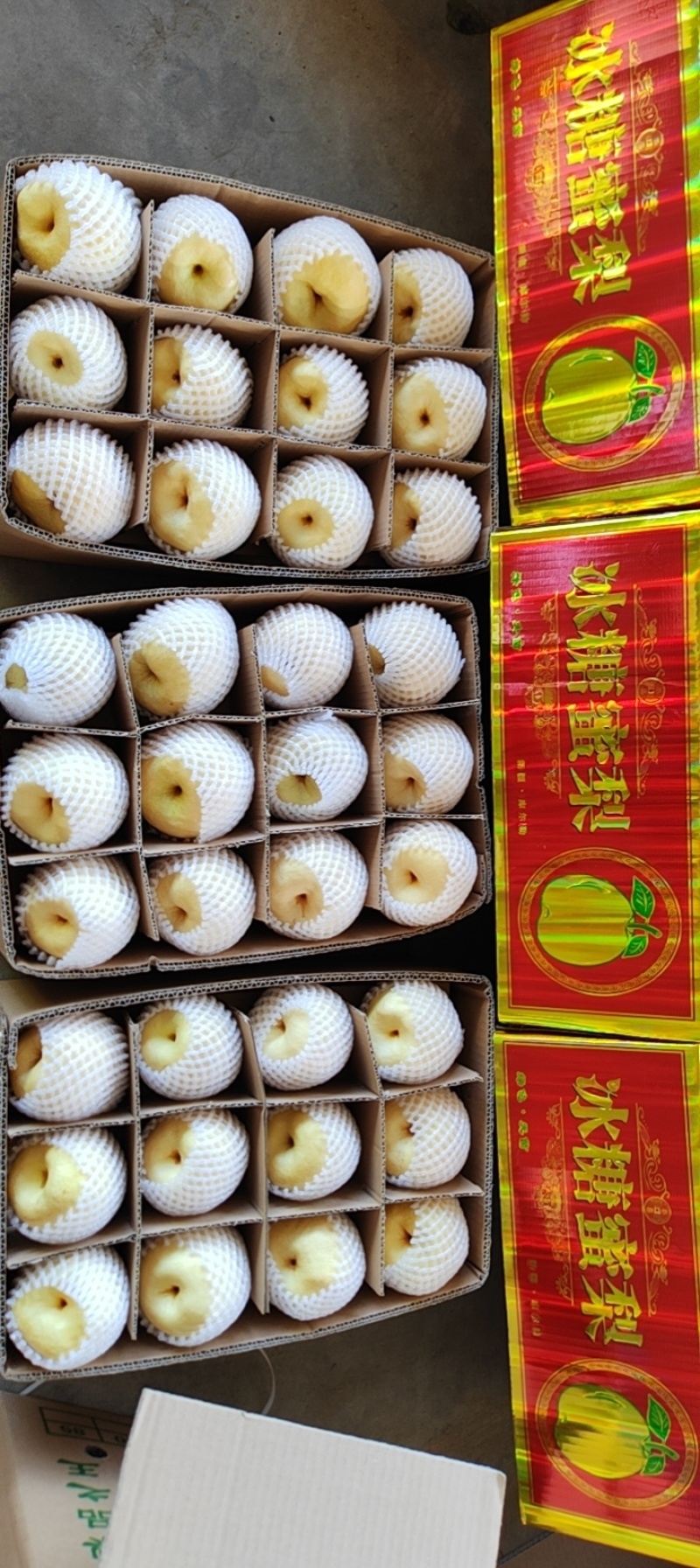 贡梨纸袋250~300g