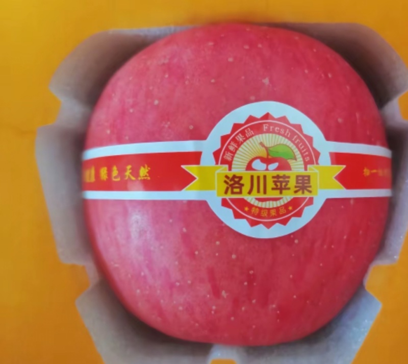陕西洛川苹果。大量供应，对接所有市场，代收代发