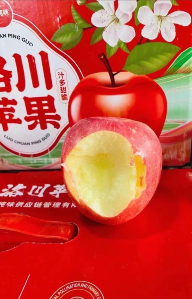 陕西洛川苹果。大量供应，对接所有市场，代收代发