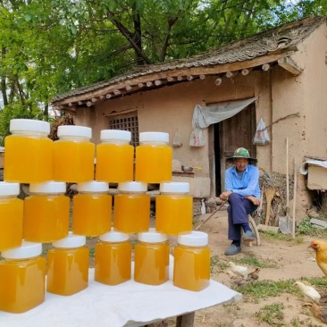 深山农家自产土蜂蜜，来自大山深处的美味！