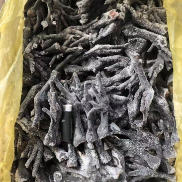 乌鸡爪规格齐全长期有货价格低可以视频看货