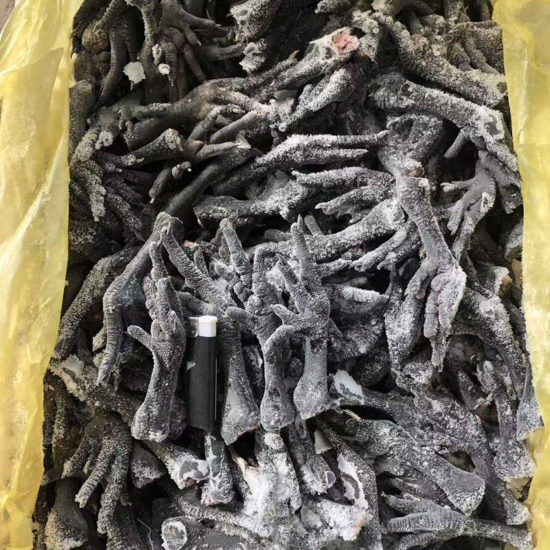 乌鸡爪规格齐全长期有货价格低可以视频看货