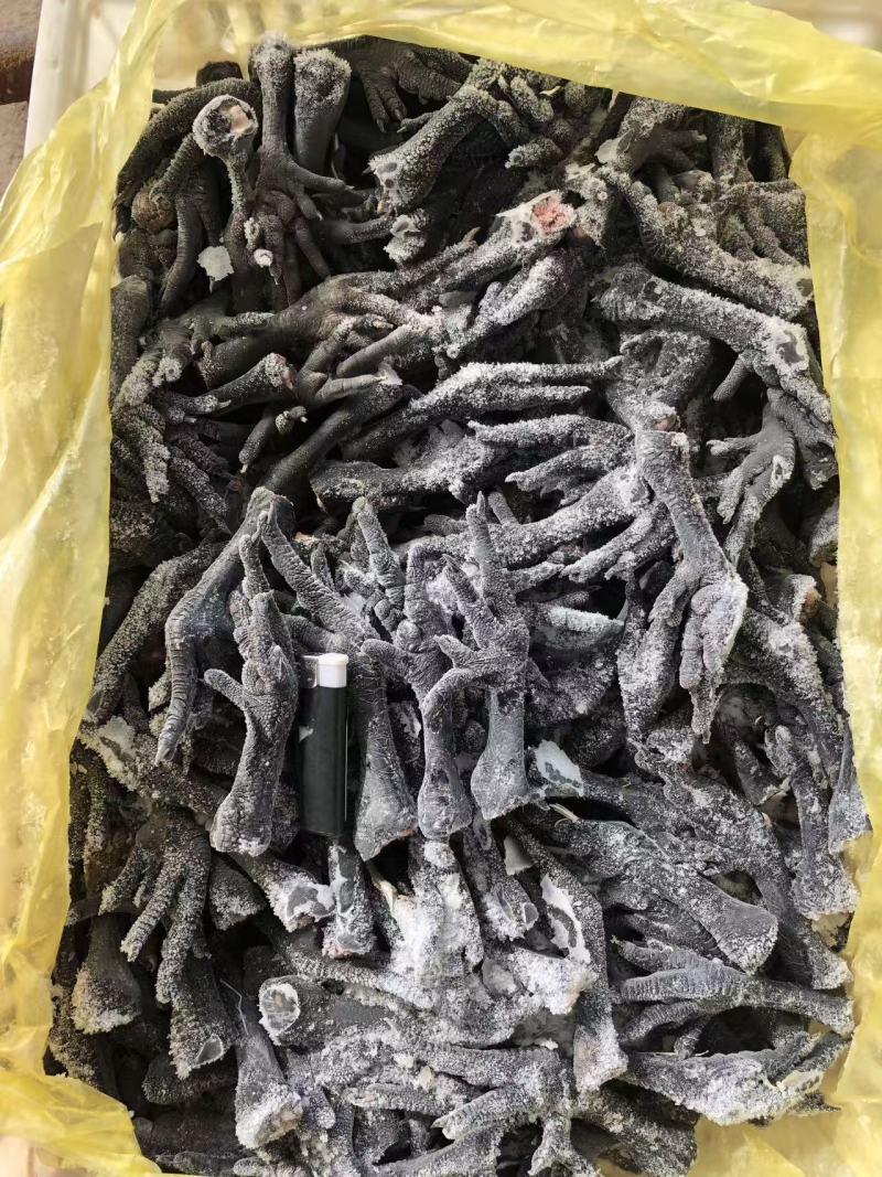乌鸡爪规格齐全长期有货价格低可以视频看货
