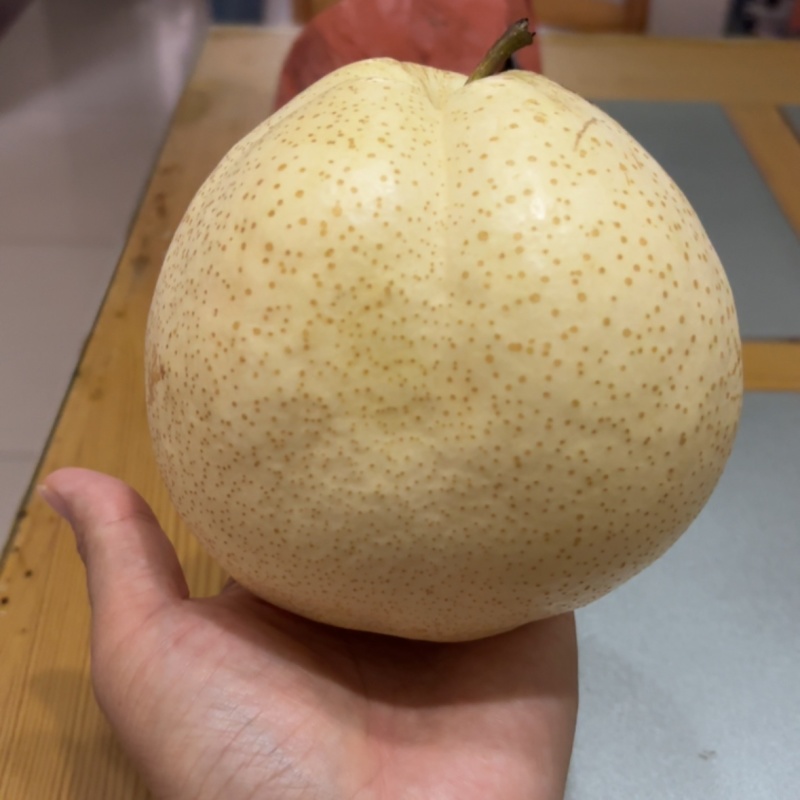 山农酥梨