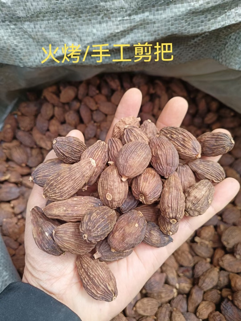 草果/云南怒江草果/辛香浓郁/个大饱满/好货，一手货源