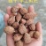 草果/云南怒江草果/辛香浓郁/个大饱满/好货,一手货源