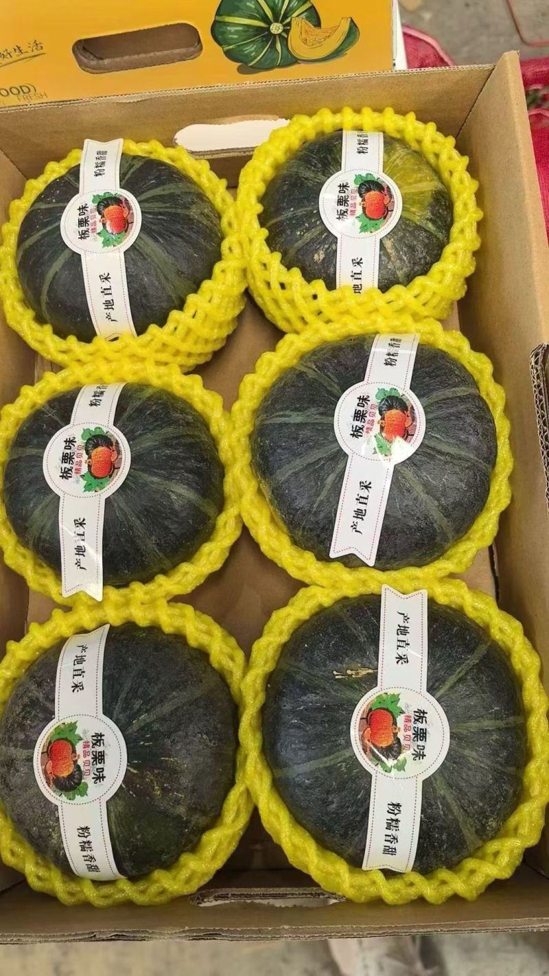 贝贝南瓜，内蒙贝贝南瓜，山东贝贝南瓜，麻籽贝贝，出口贝贝