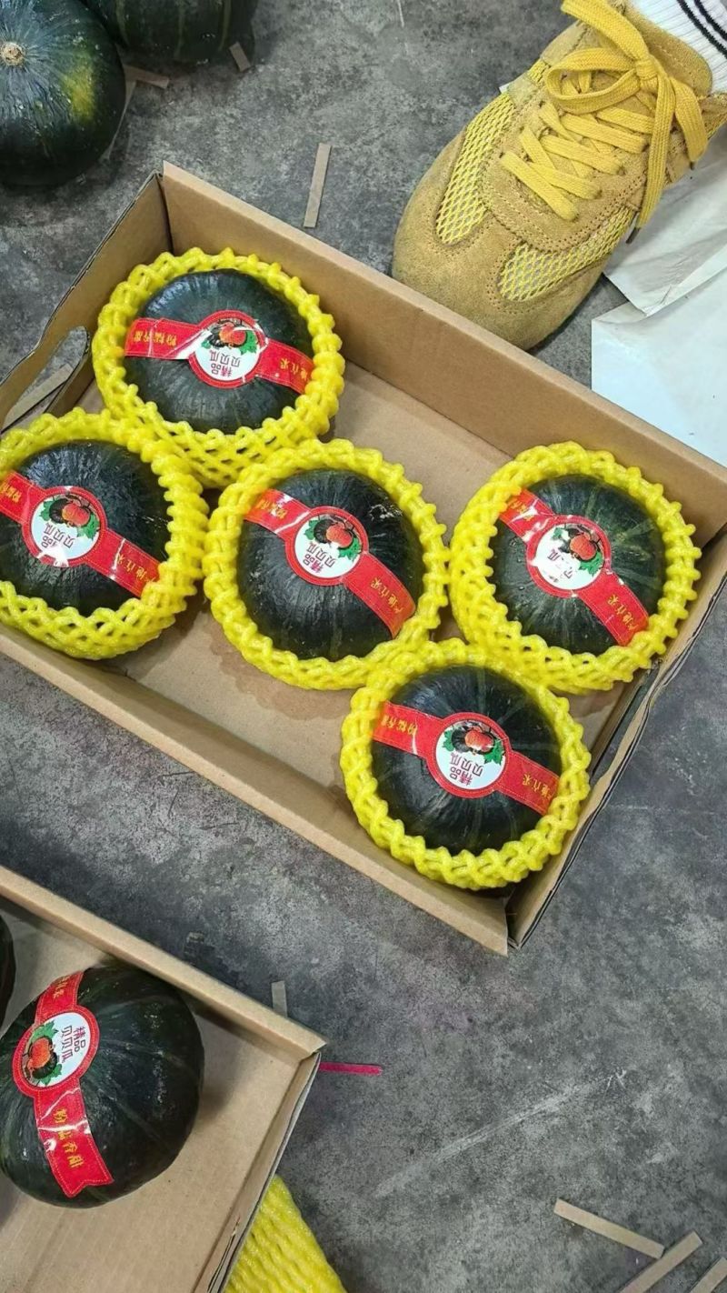 贝贝南瓜，内蒙贝贝南瓜，山东贝贝南瓜，麻籽贝贝，出口贝贝