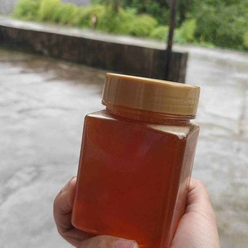 正宗土蜂蜜