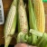 （热销）花糯玉米🌽颗粒饱满，无虫皮绿，大基地供应花糯