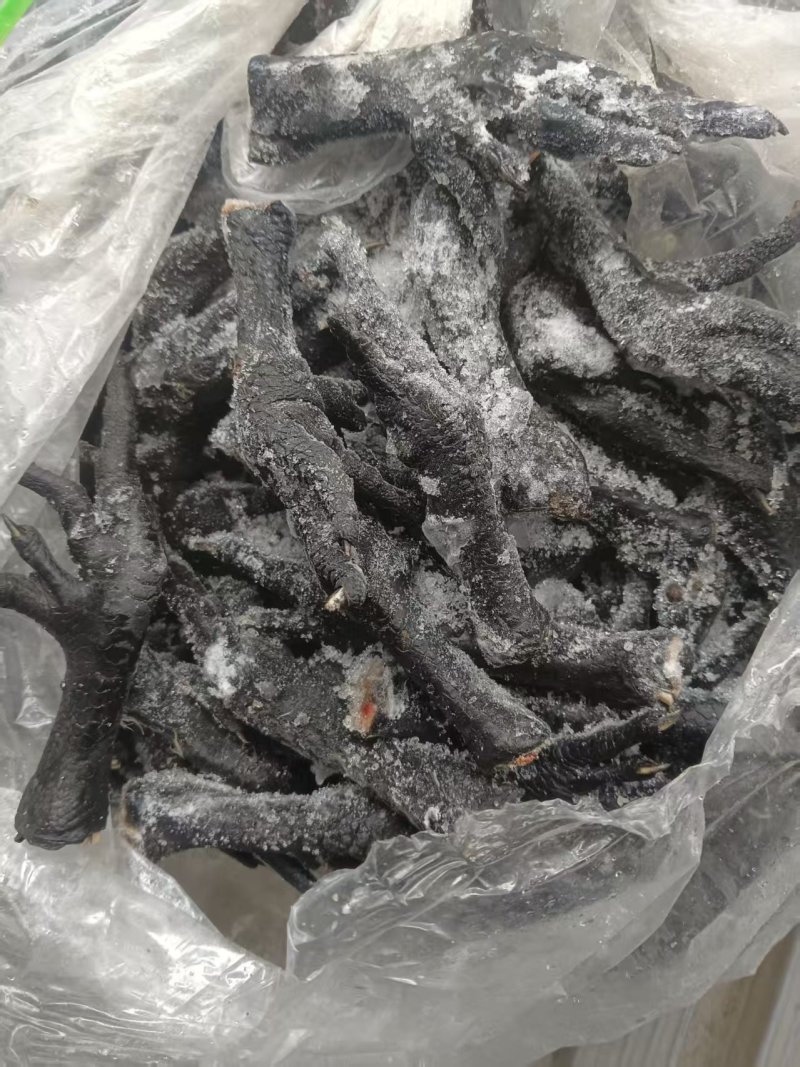 乌鸡爪规格齐全长期有货价格低可以视频看货
