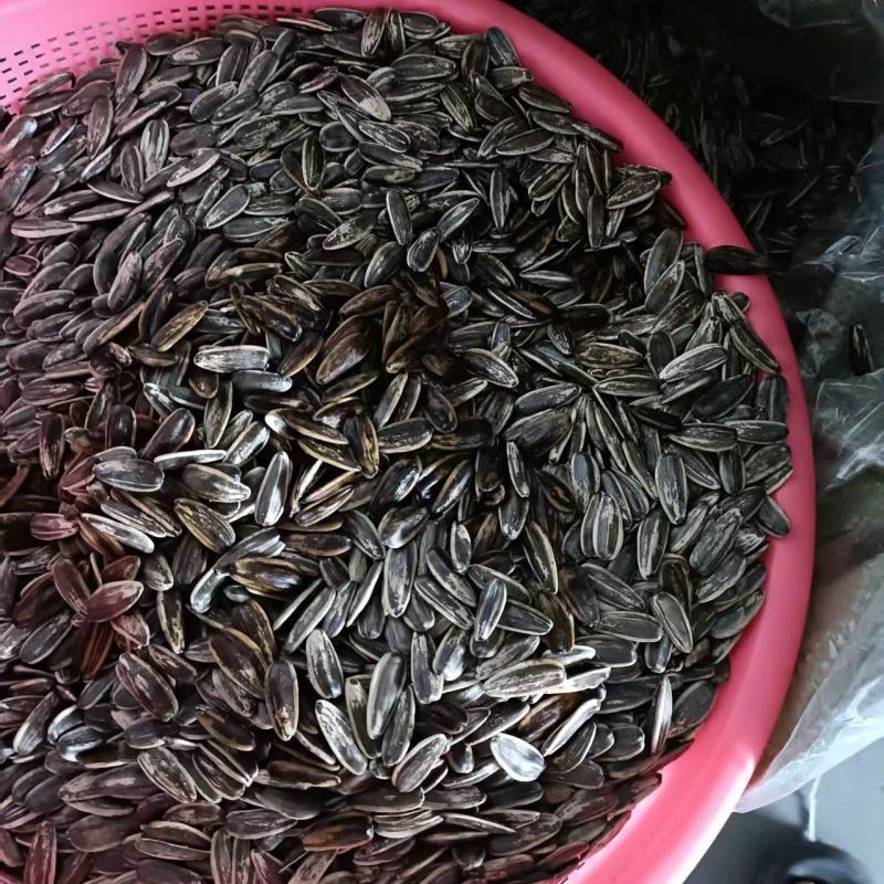 原味瓜子（生）（熟）都有电商货电商通用货新货现炒现炒现发