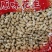 25年小日本小珍珠柴火炒原味熟花生