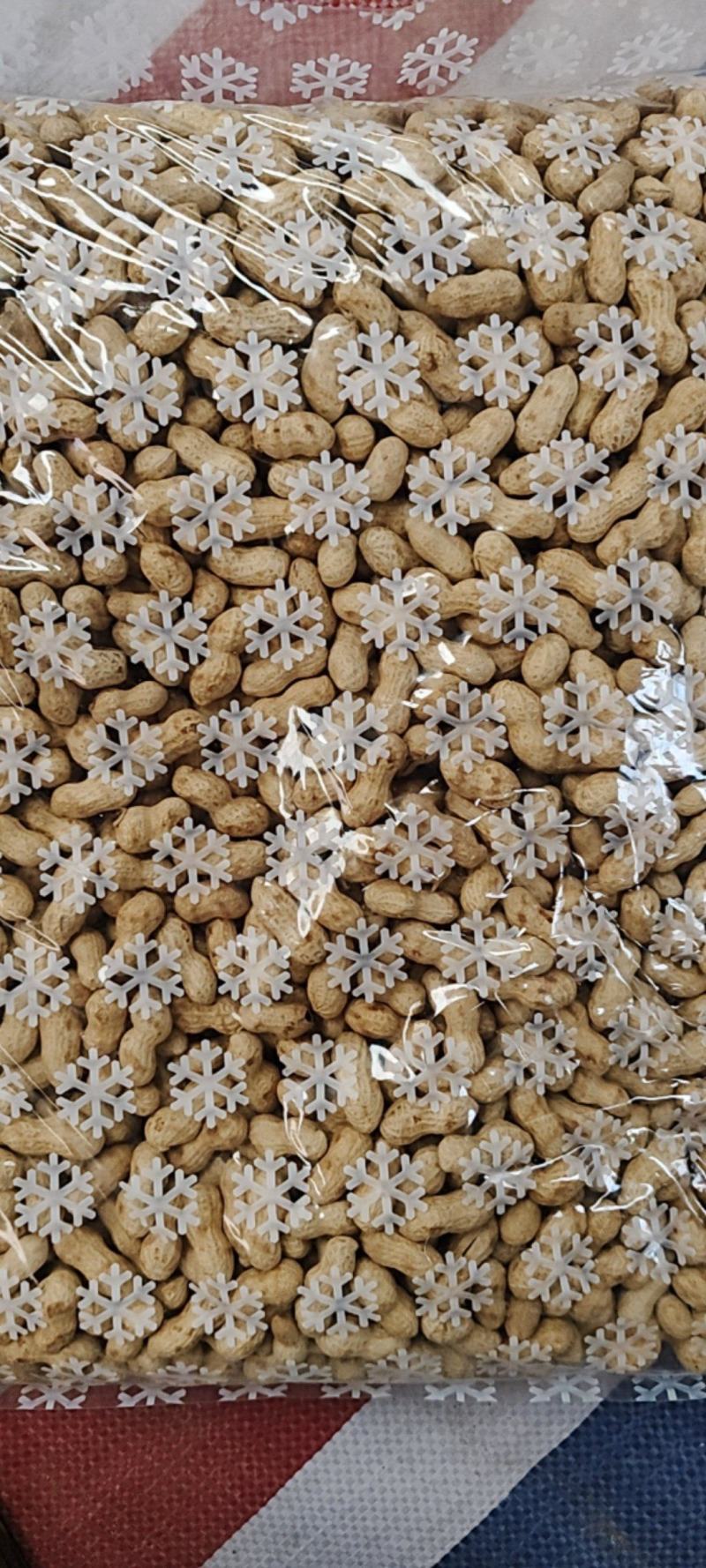 25年小日本小珍珠柴火炒原味熟花生