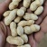 25年小日本小珍珠柴火炒原味熟花生
