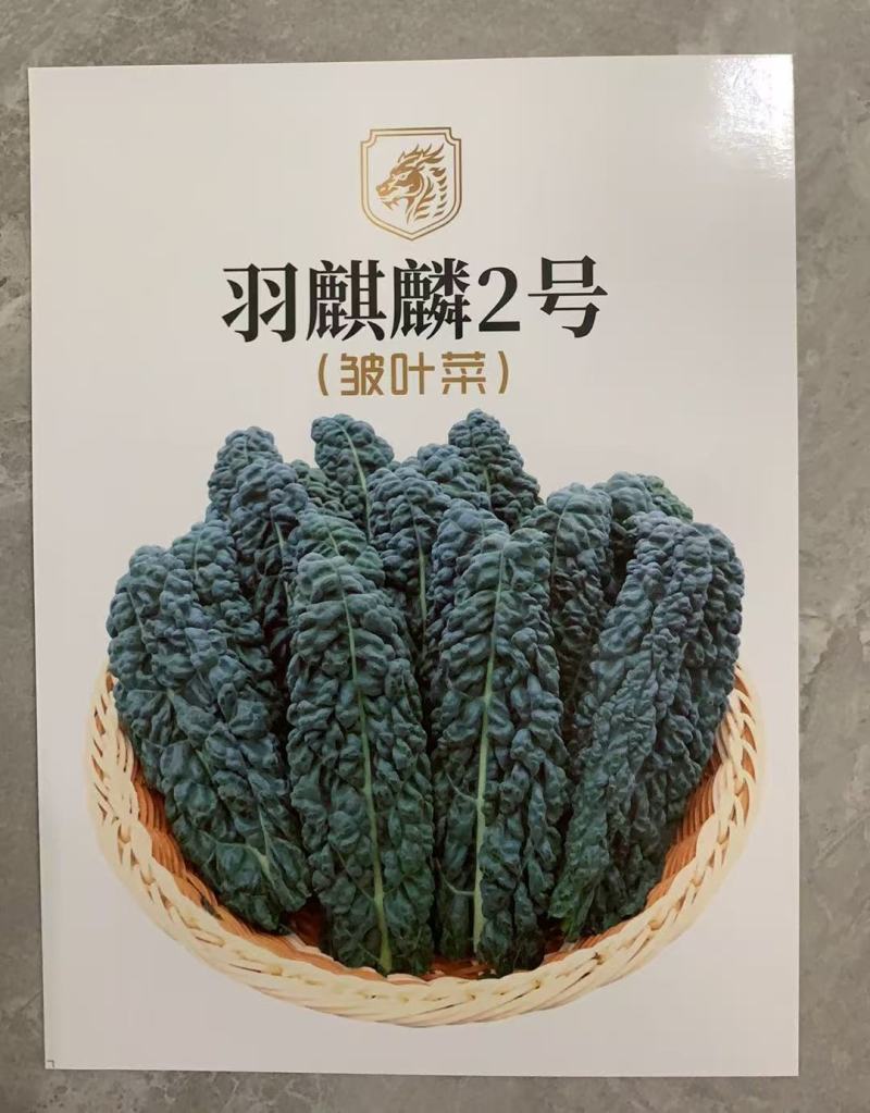 【荷兰进口】羽麒麟2号鲜食版种子