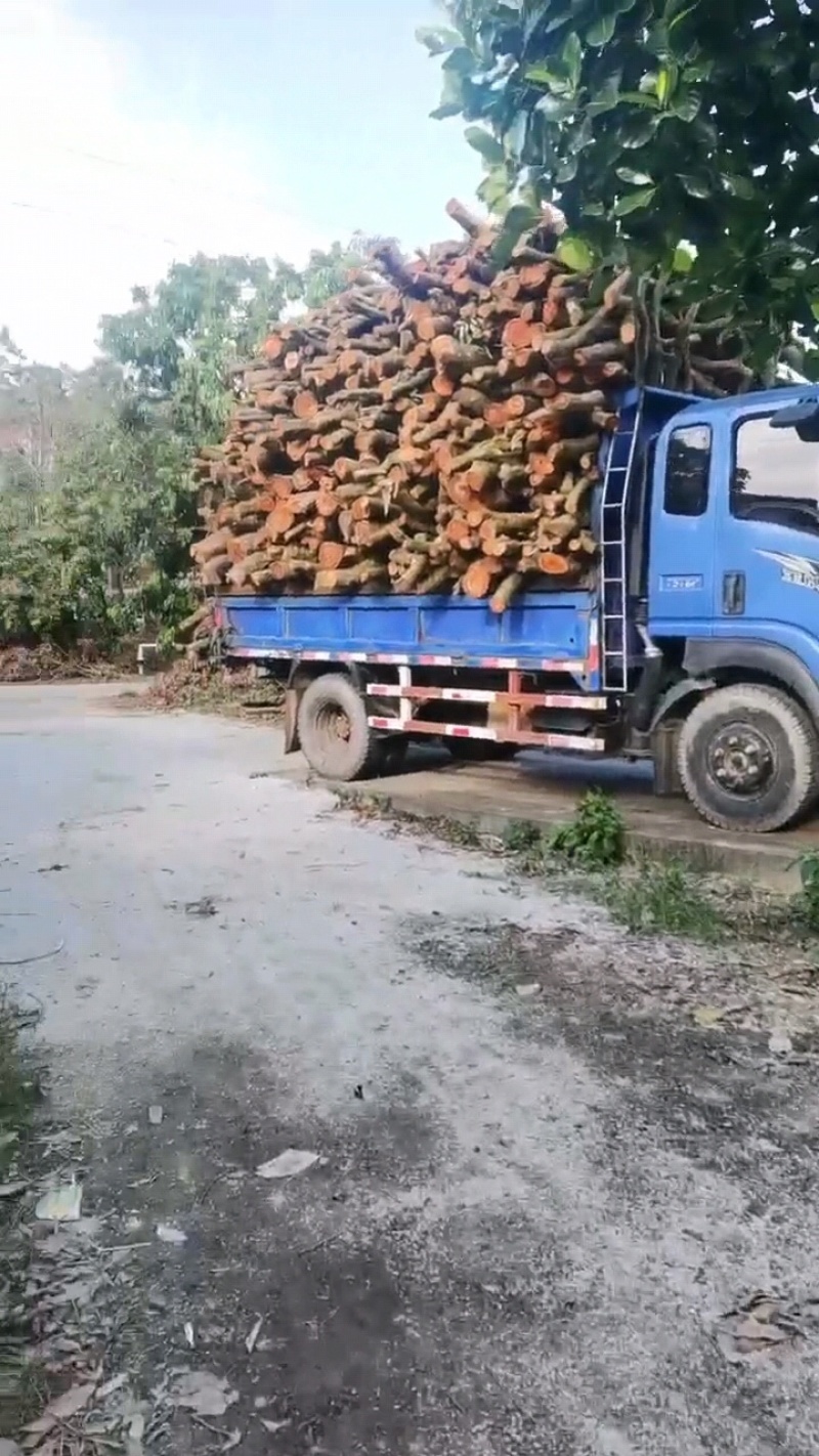荔枝木