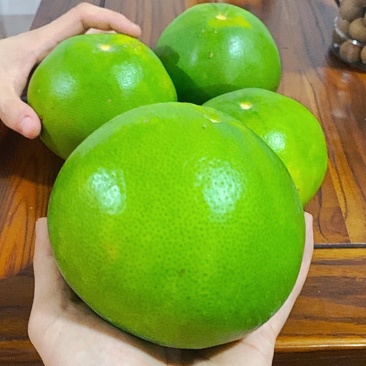 福建平和葡萄柚子黄皮绿皮代办