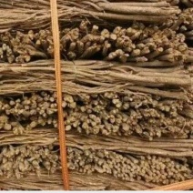 黄芪毛芪白条芪精品黄芪甘肃黄芪规格齐全量大从优，全年发货