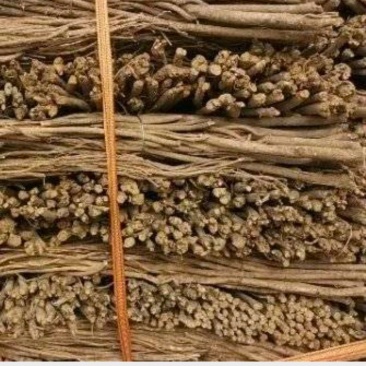 黄芪毛芪白条芪精品黄芪甘肃黄芪规格齐全量大从优，全年发货