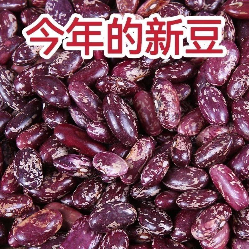 紫花农家大芸豆新豆饭豆煮粥批发四季豆五谷杂粮大碴