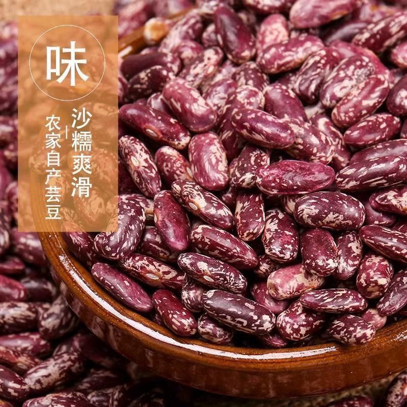 紫花农家大芸豆新豆饭豆煮粥批发四季豆五谷杂粮大碴