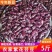 紫花农家大芸豆新豆饭豆煮粥批发四季豆五谷杂粮大碴