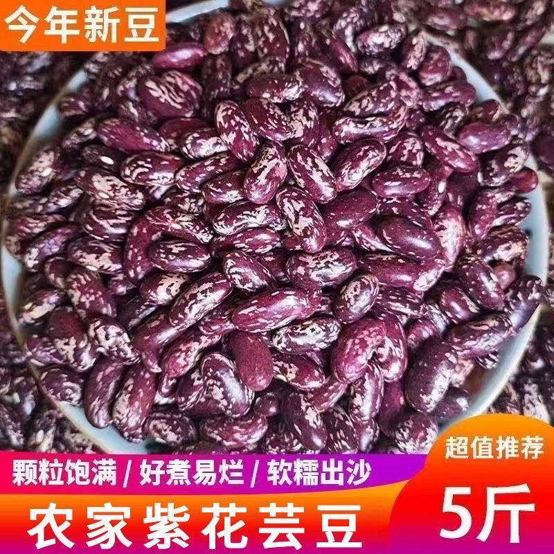紫花农家大芸豆新豆饭豆煮粥批发四季豆五谷杂粮大碴