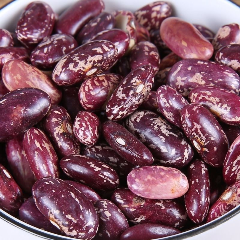 紫花豆花芸豆新豆煮粥软糯四季豆干货清仓厂家直发