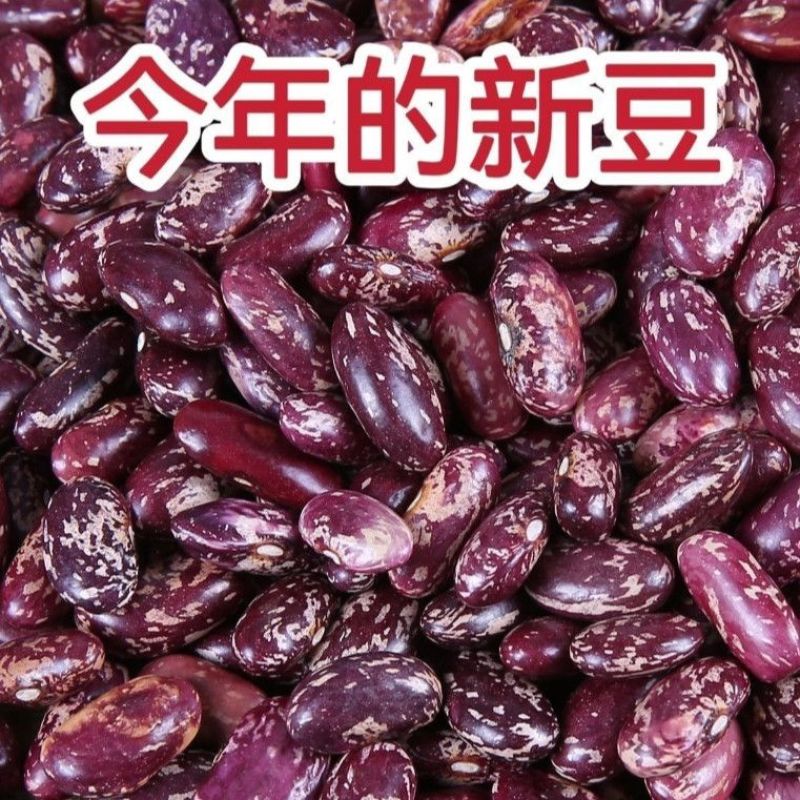 紫花豆花芸豆新豆煮粥软糯四季豆干货清仓厂家直发