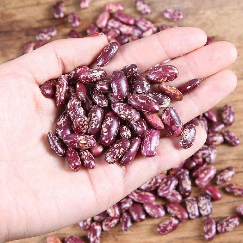 紫花豆花芸豆新豆煮粥软糯四季豆干货清仓厂家直发
