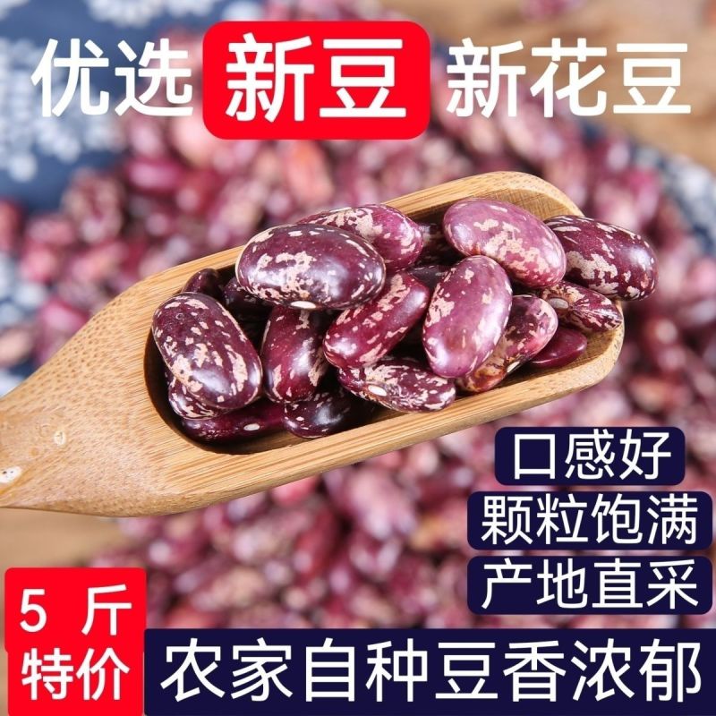 紫花豆花芸豆新豆煮粥软糯四季豆干货清仓厂家直发
