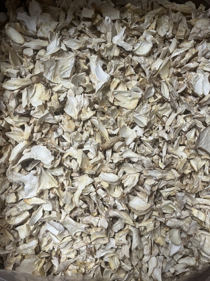 杏鲍菇根片