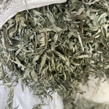 艾叶。纯正野生小叶艾，原产地有陈艾，需要陈艾可提前预