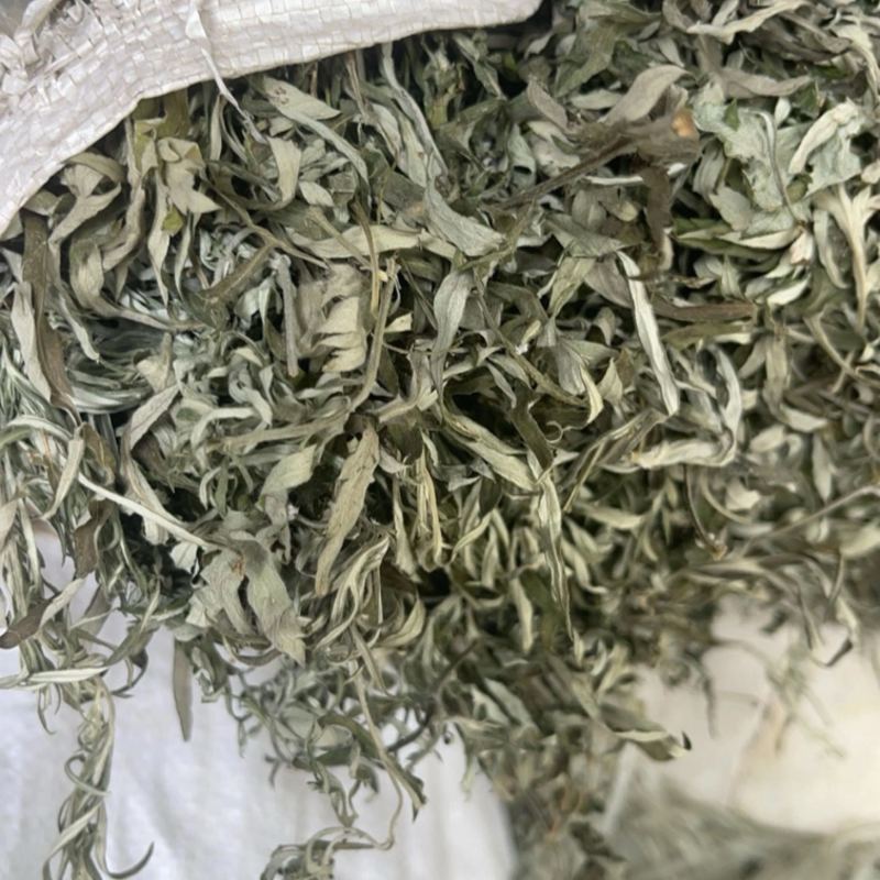 艾叶。纯正野生小叶艾，原产地有陈艾，需要陈艾可提前预
