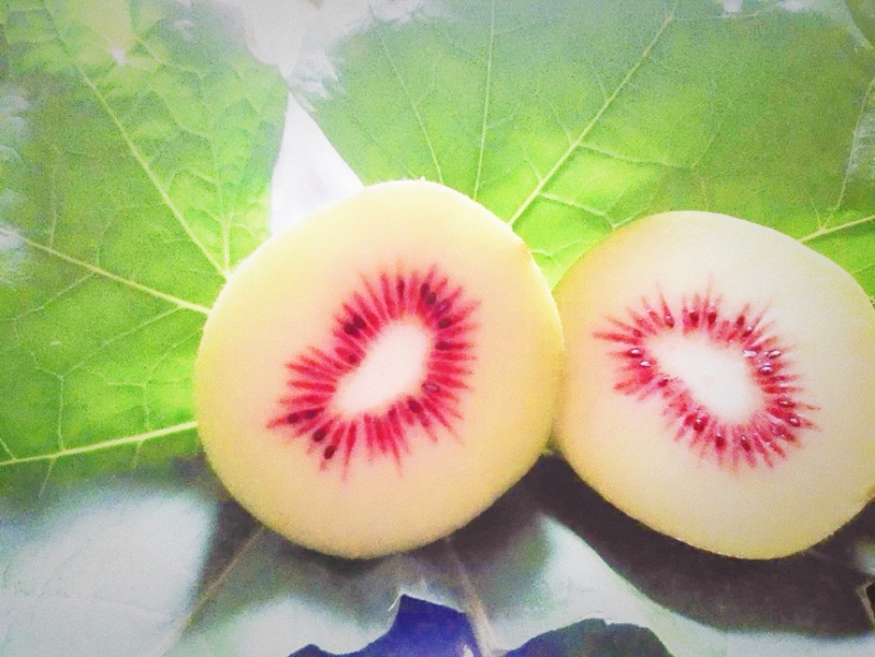 绿色食品认证，小果批发，2000斤***********